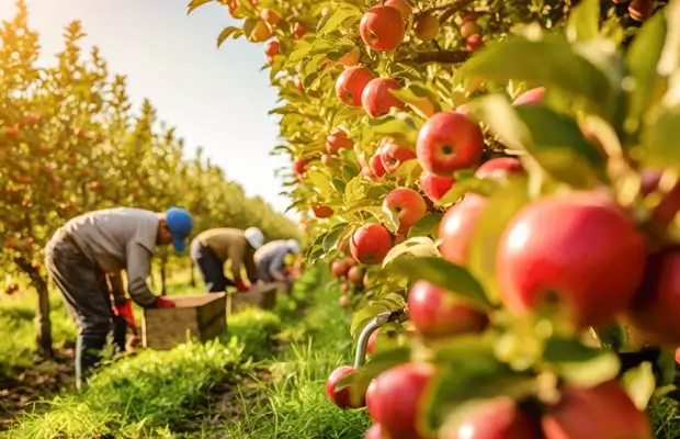 Premium ingredients for quality crops