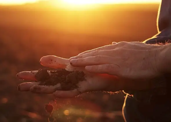 Agriculture Crop Protection