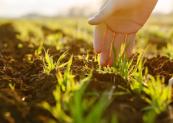 Agricultural Solutions