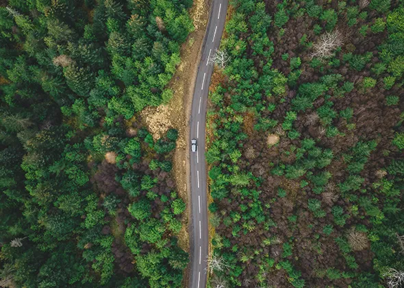 Sustainablity Products