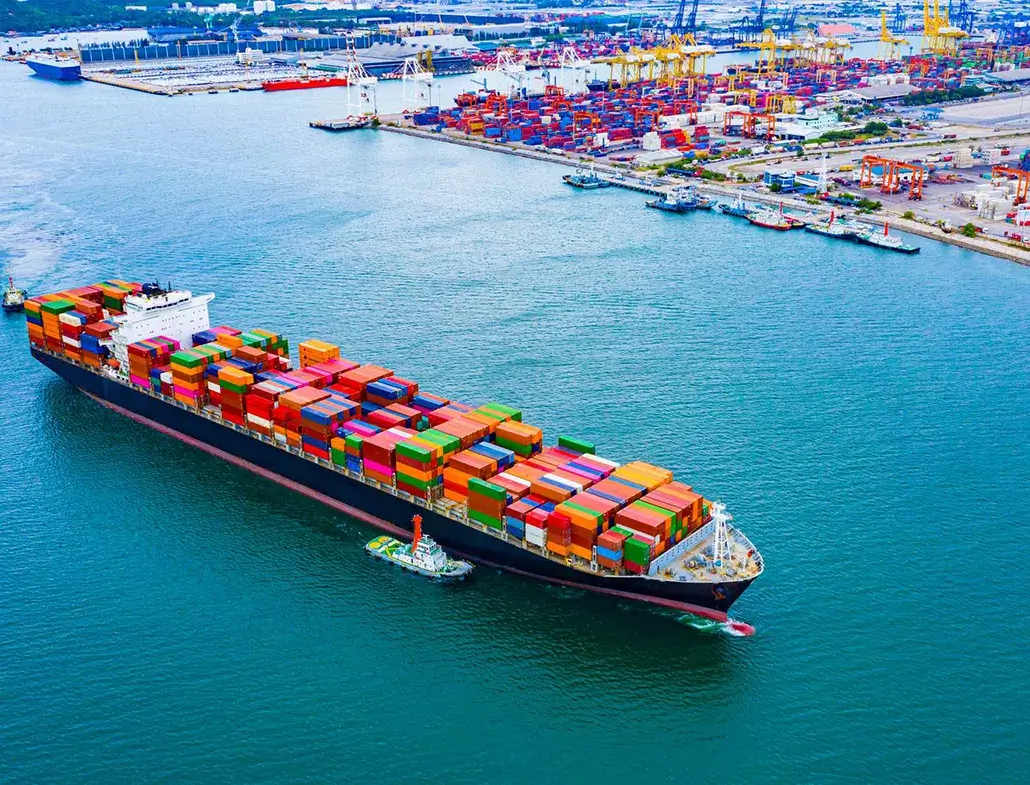 Sustainable marine oils